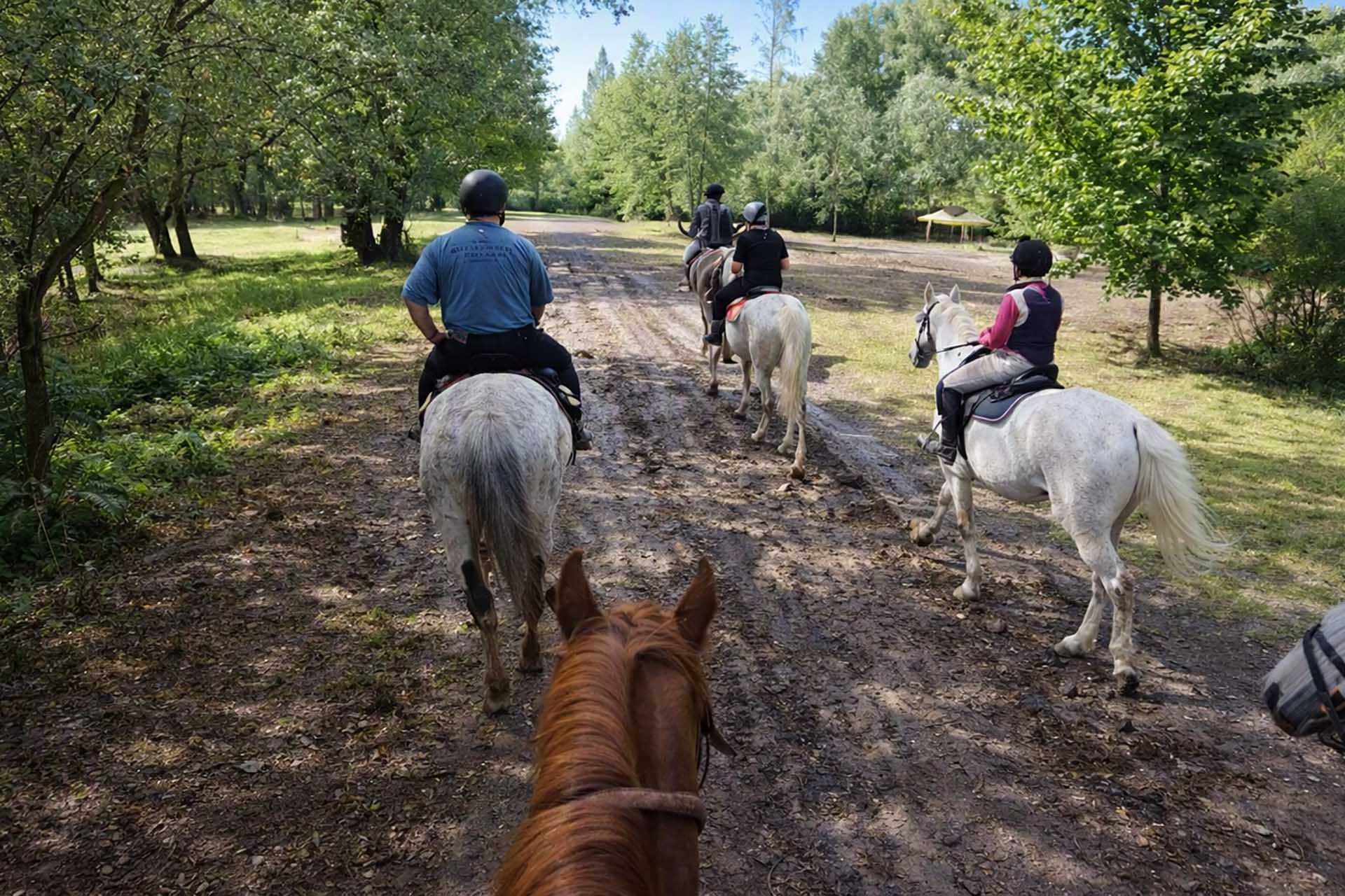 „Apró Paták” Hagyományőrző Családi nap előzetese